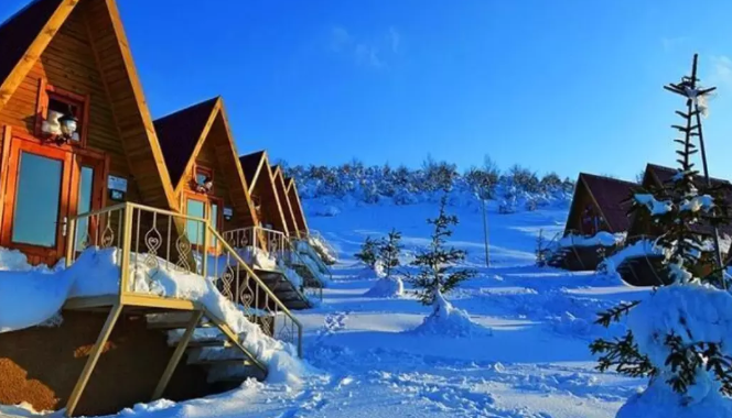 Ekran görüntüsü 2026-03-08 183315