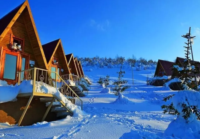 Ekran görüntüsü 2026-03-08 183315