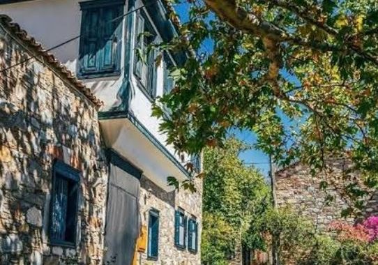 Ekran Alıntısı